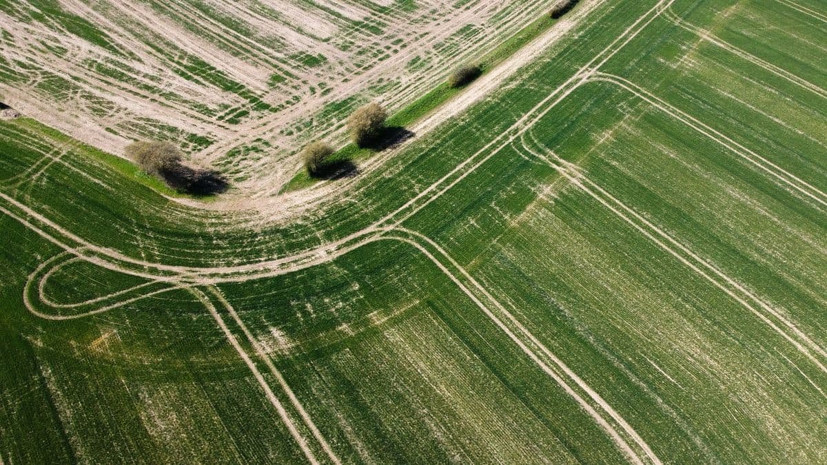 Drone view of agricultural field patterns