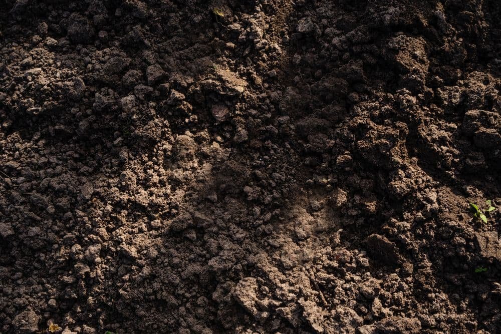 Freshly tilled, nutrient-rich farm soil ready for planting